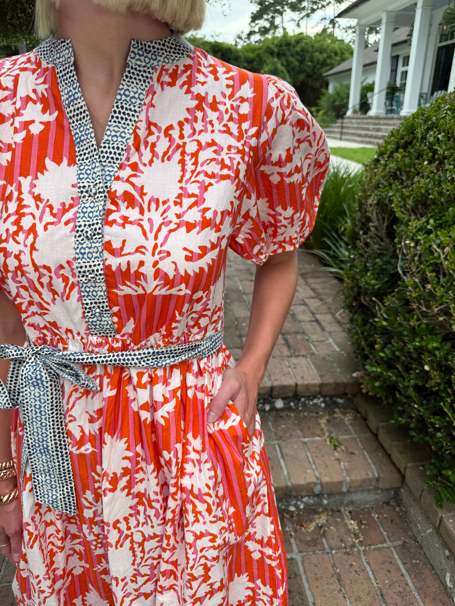 Lanier Puff Sleeve Printed Dress