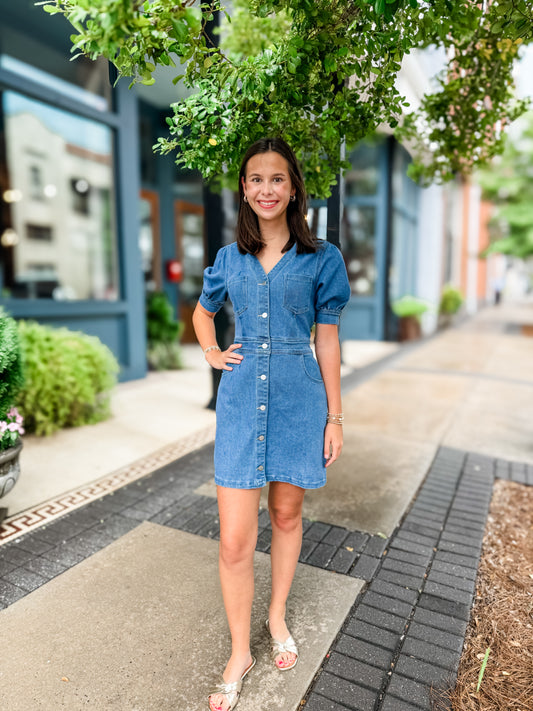 Maximilian Denim Dress