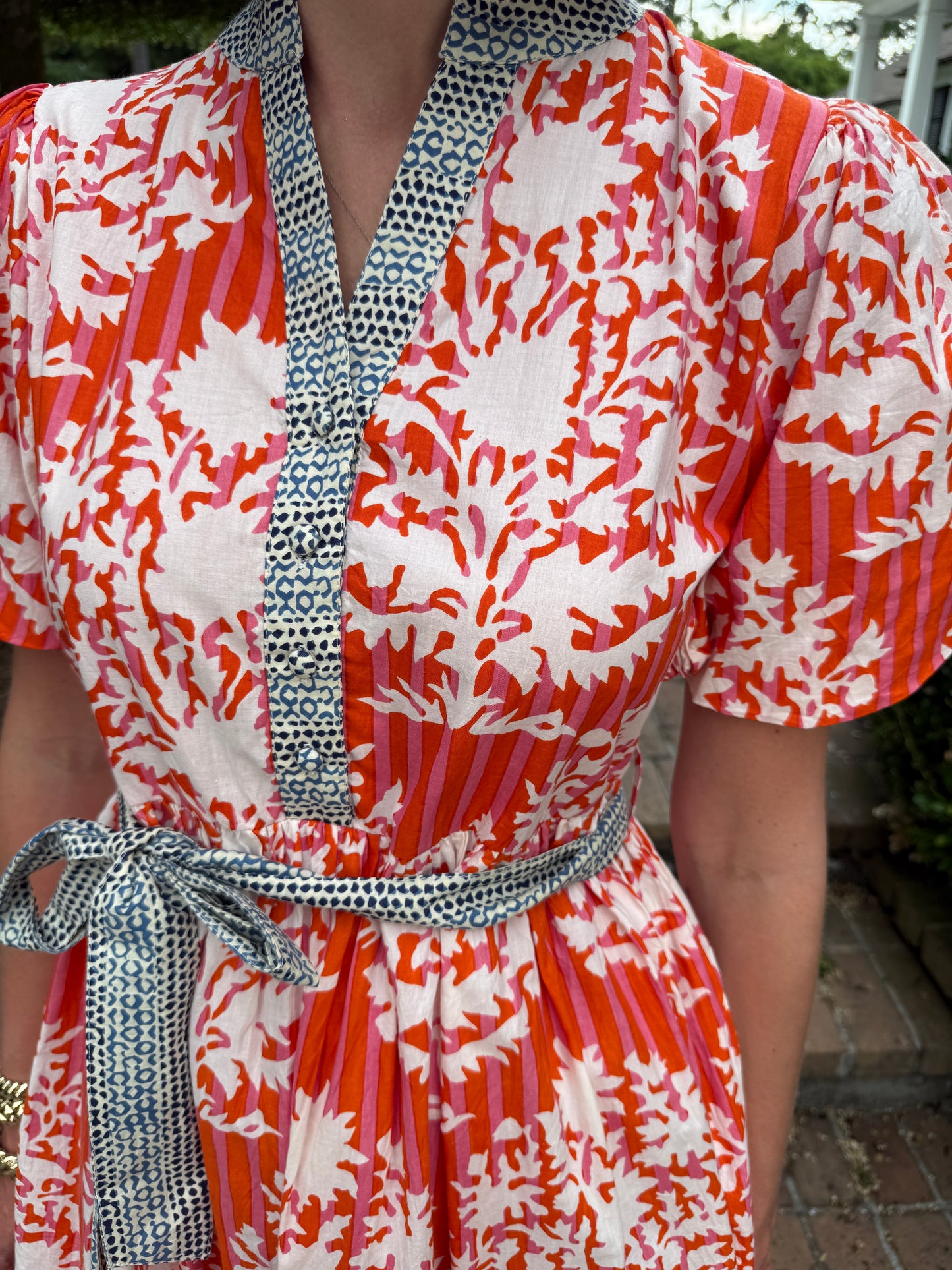 Lanier Puff Sleeve Printed Dress