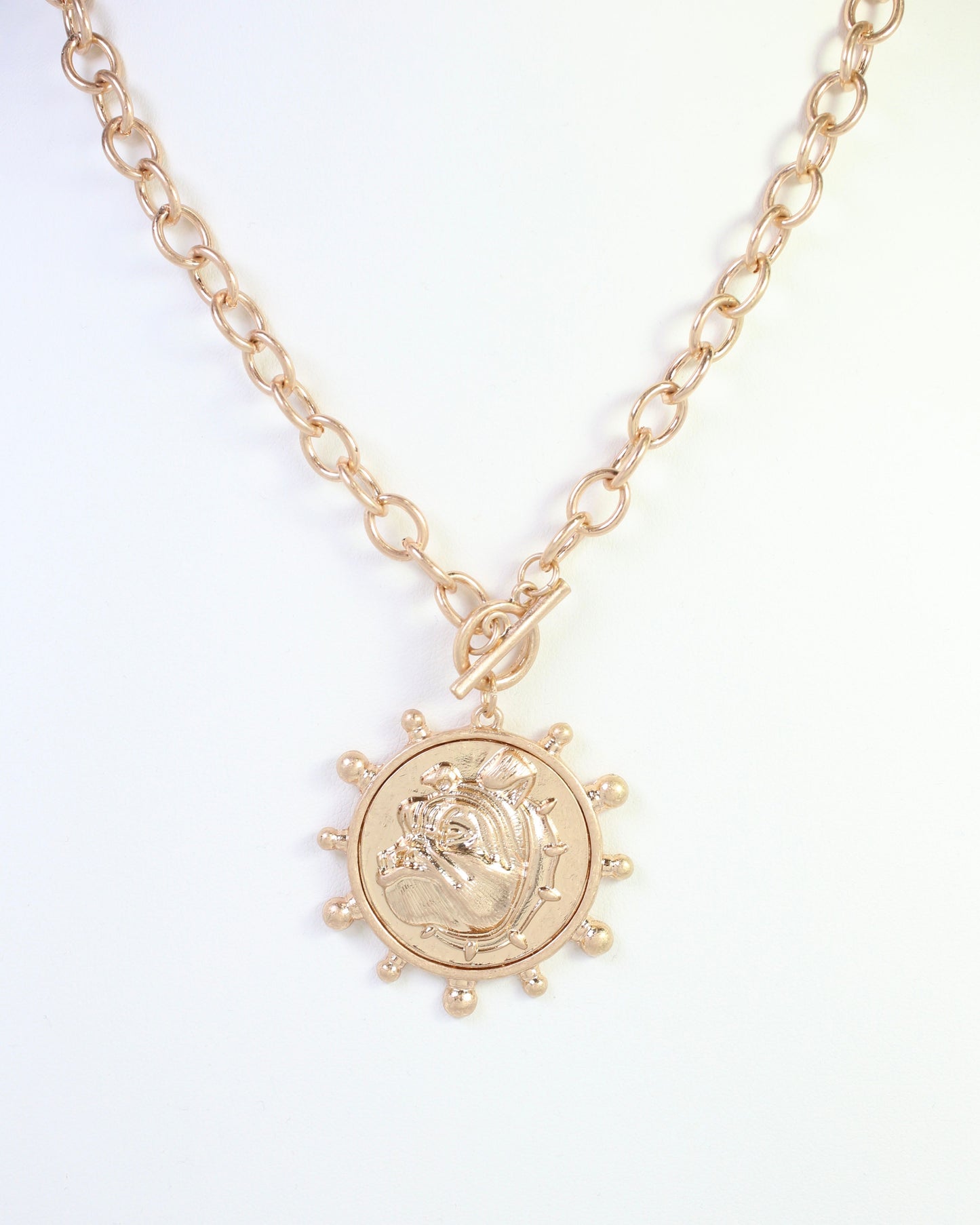 Collin Dog Coin Toggle Necklace Worn Gold