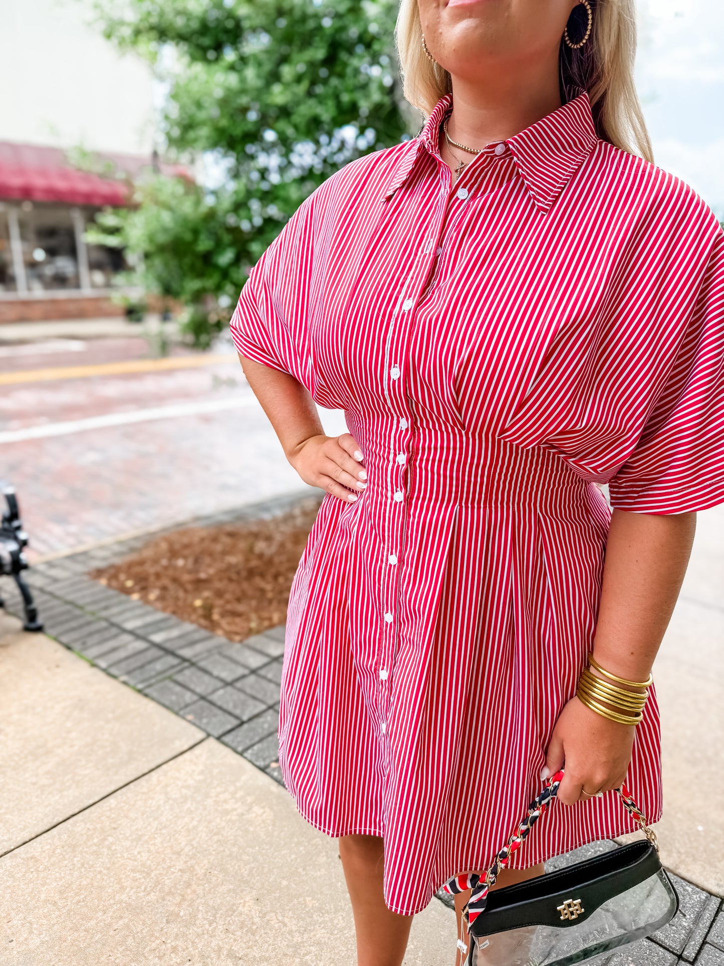 Sasha Striped Pleated Dress - Red