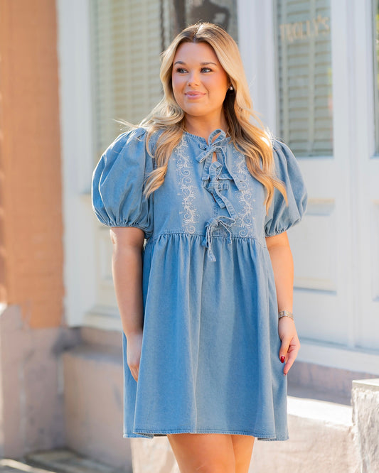 Dare To Dream In Denim Mini Dress
