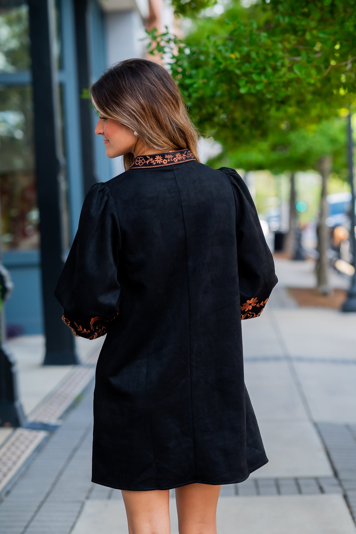 Darcy Embroidered Dress - Black