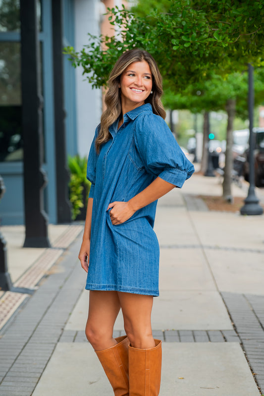 Raine Denim Dress