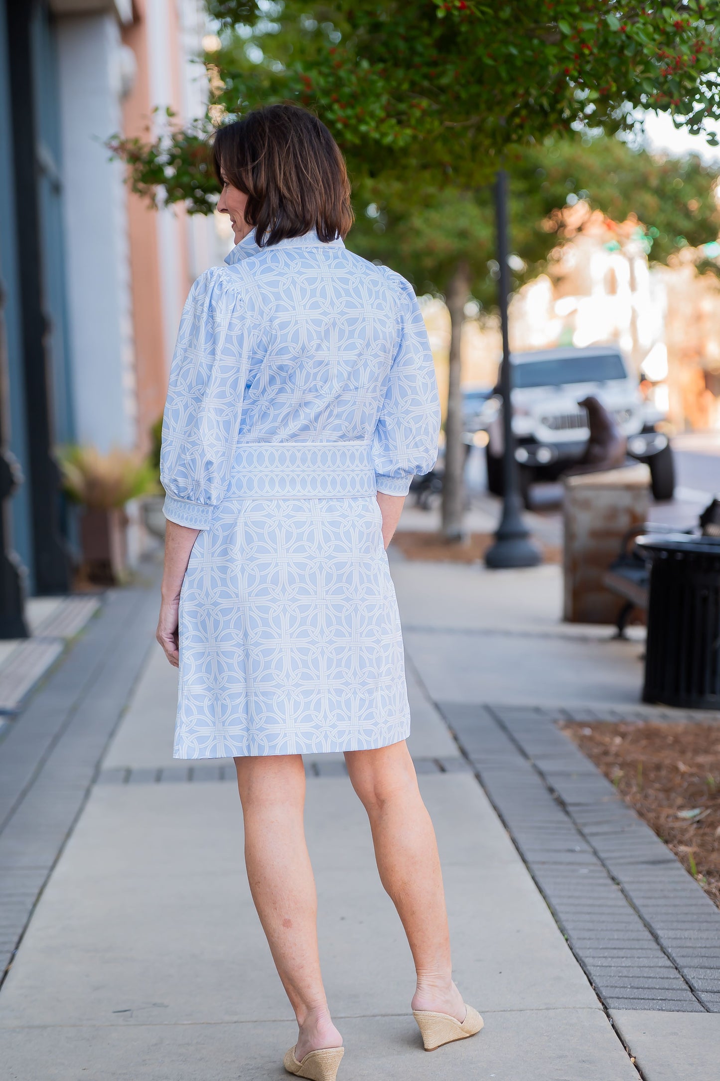 Blair Geometric Print Collard Dress