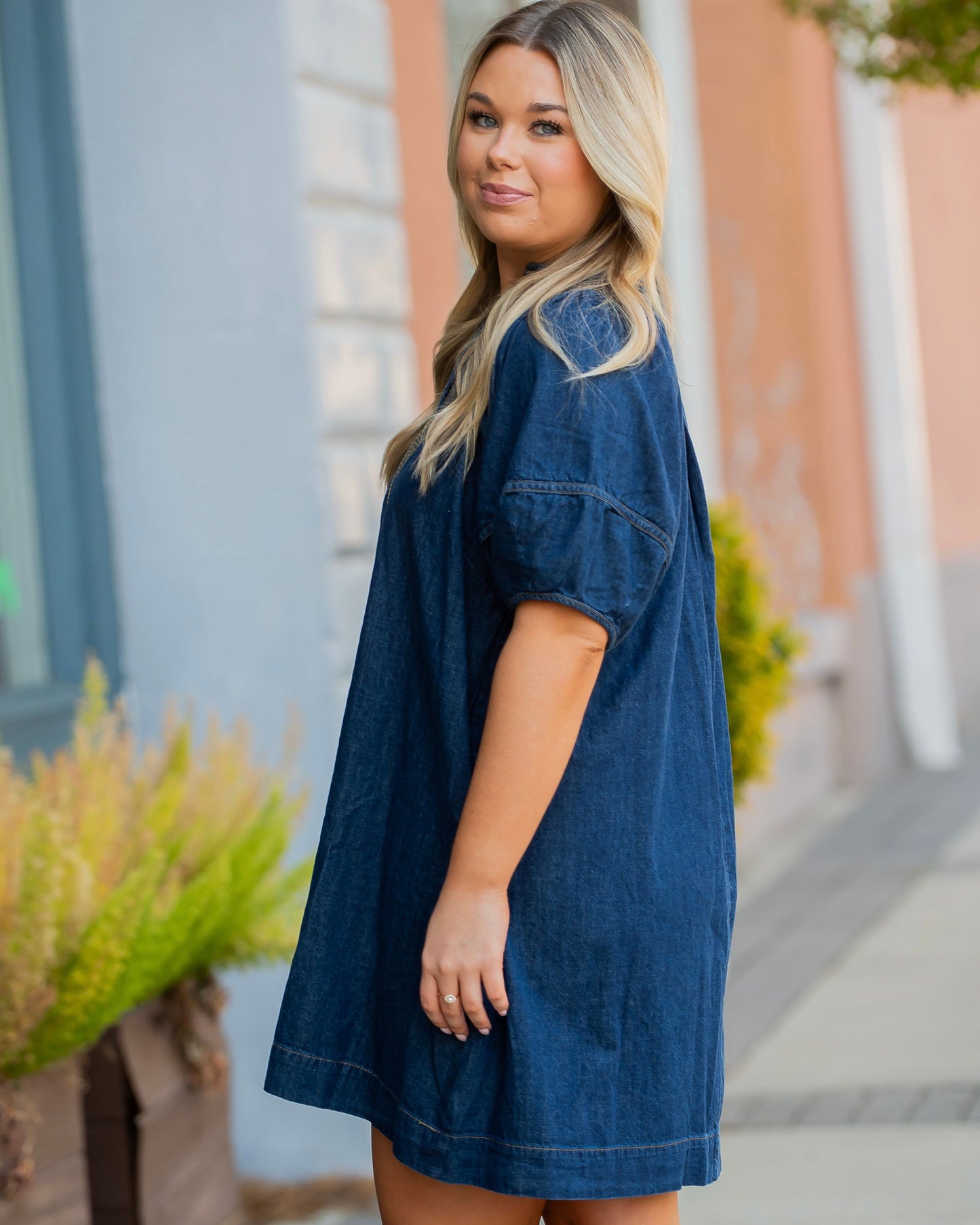 Willow Short Sleeve Denim Dress