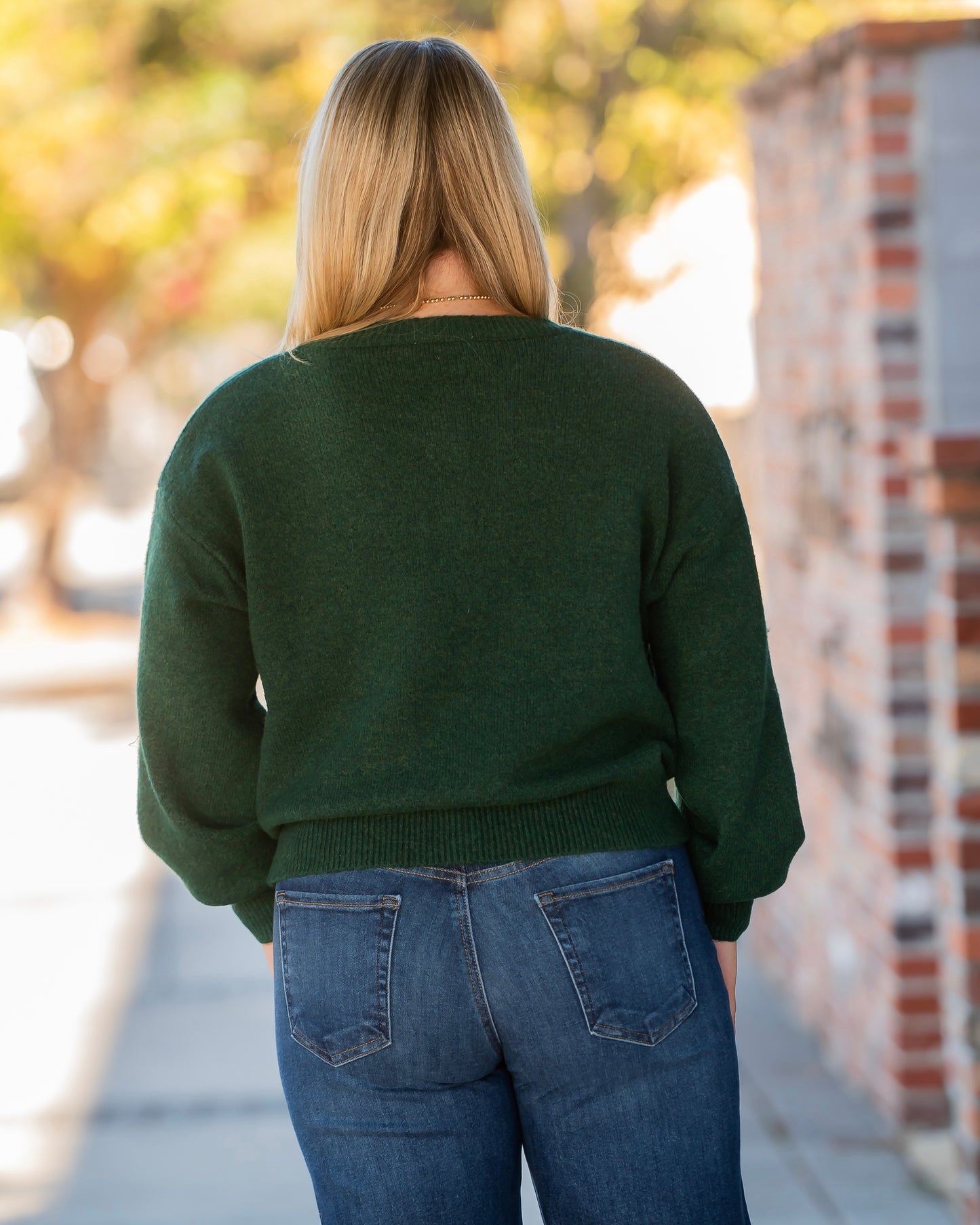 Remi Embroidered Cardigan Sweater- Green