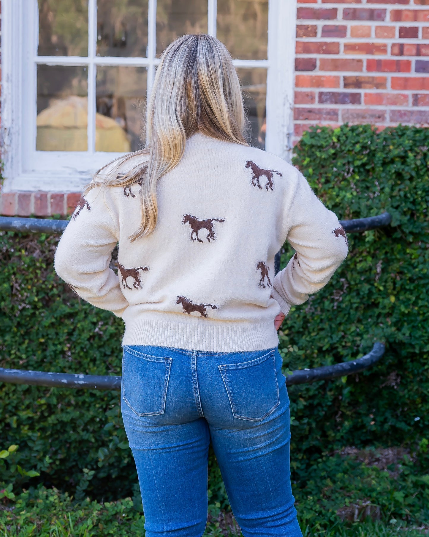 Heavenly Horse Sweater