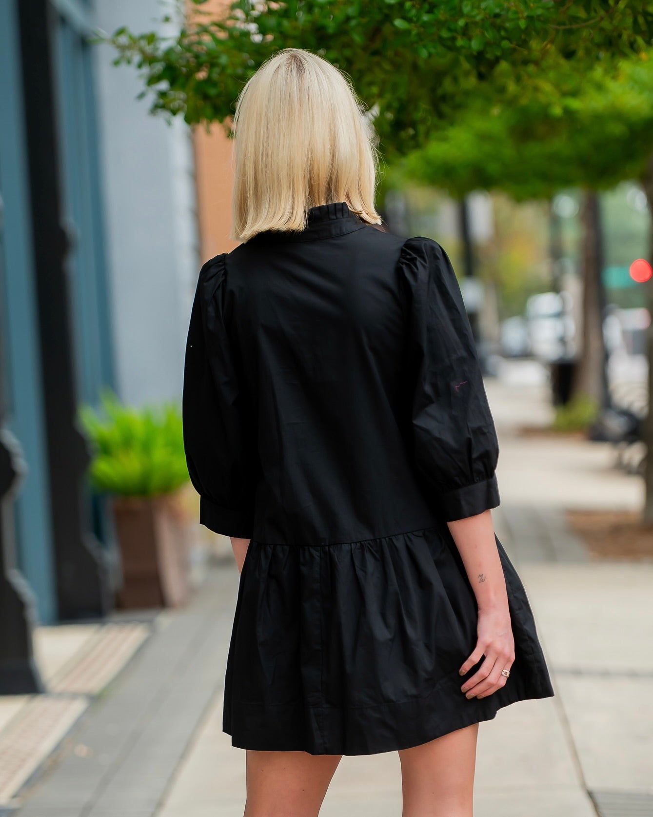 Everly Embroidered Dress