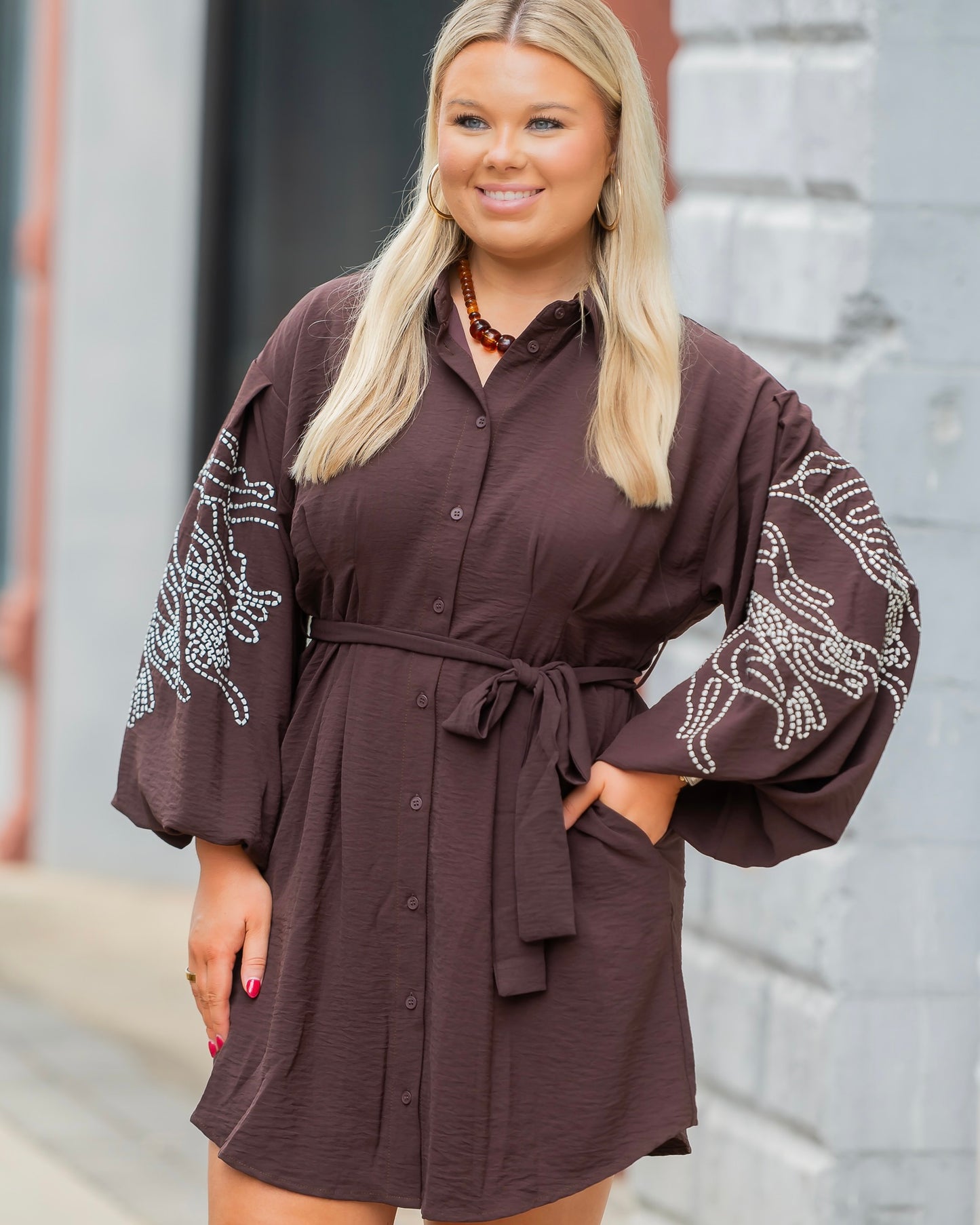 GaItlyn Embroidered Shirt Dress