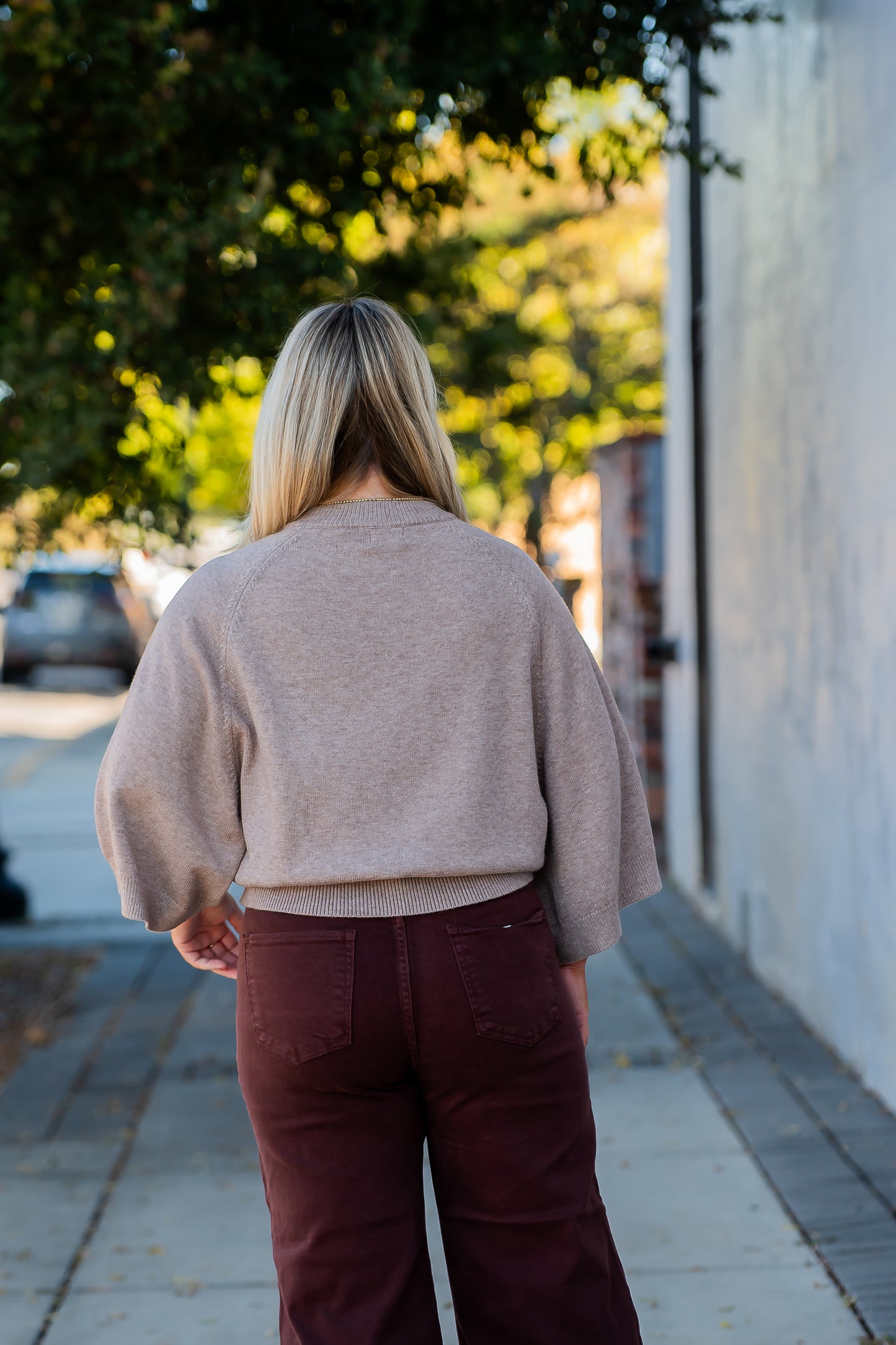 Creede Short Sleeve Sweater-Soft Mocha