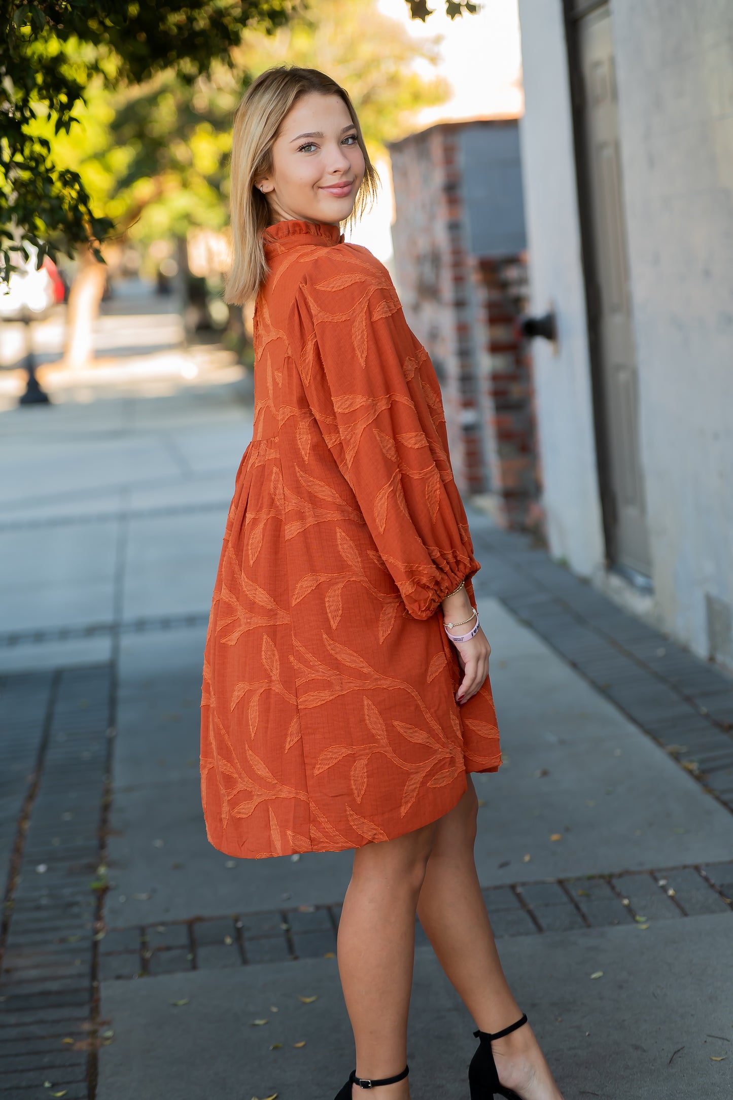 Steffi Jacquard Ruffle Neck Dress- Rust