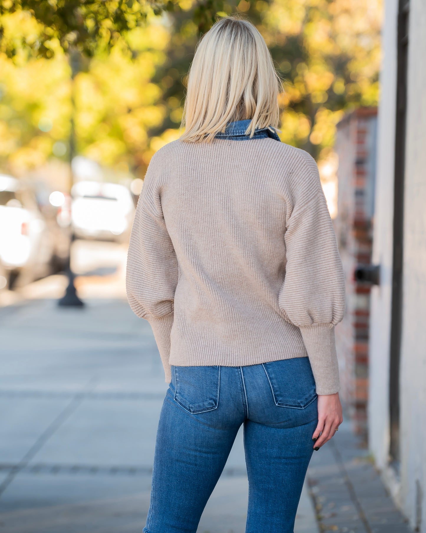 Draper Contrast Denim Collar Top