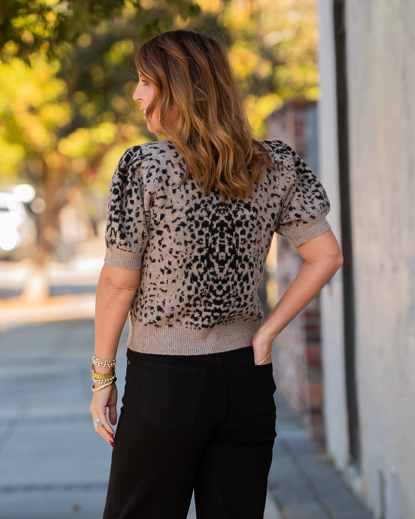 Lanier Animal Print Sweater- Mocha