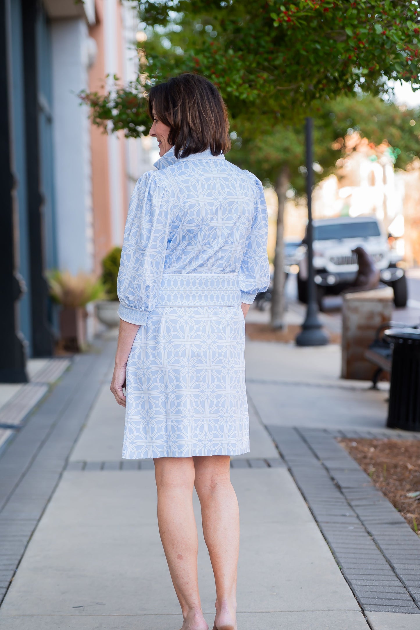 Blair Geometric Print Collard Dress