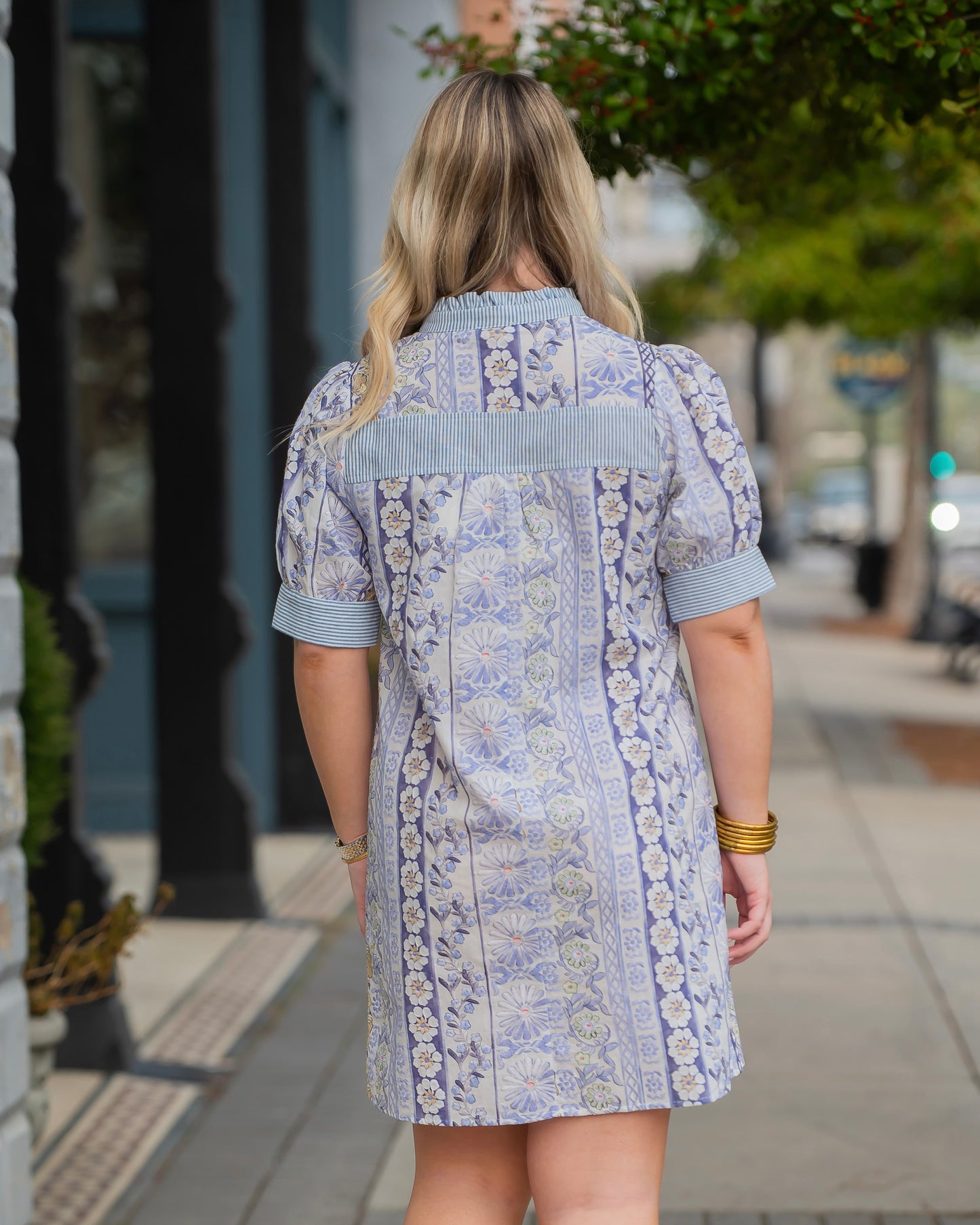 Inez Floral Print Embroidered Dress