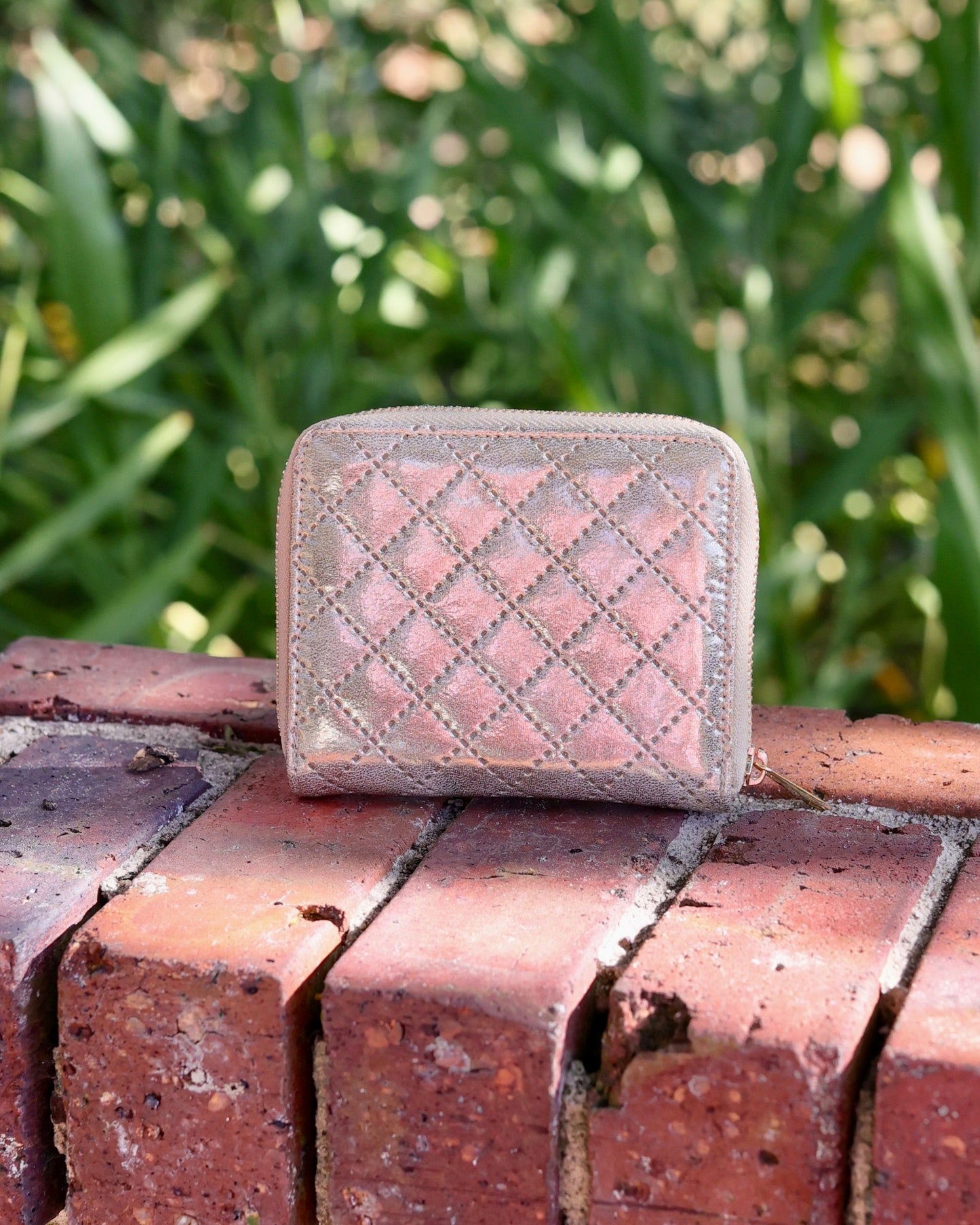 Blakely Wallet Champagne Pop
