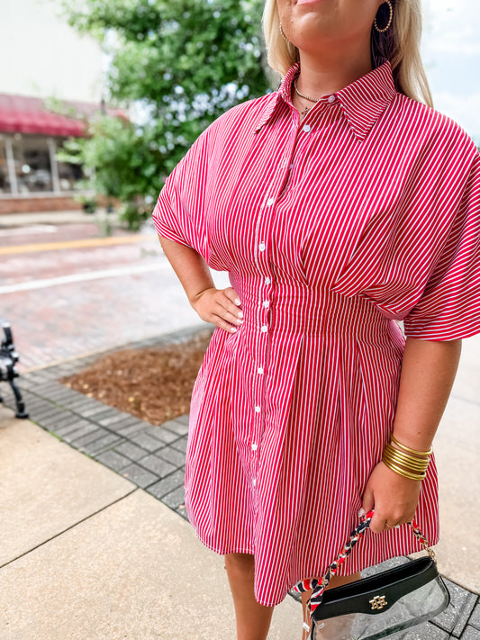 Sasha Striped Pleated Dress - Red