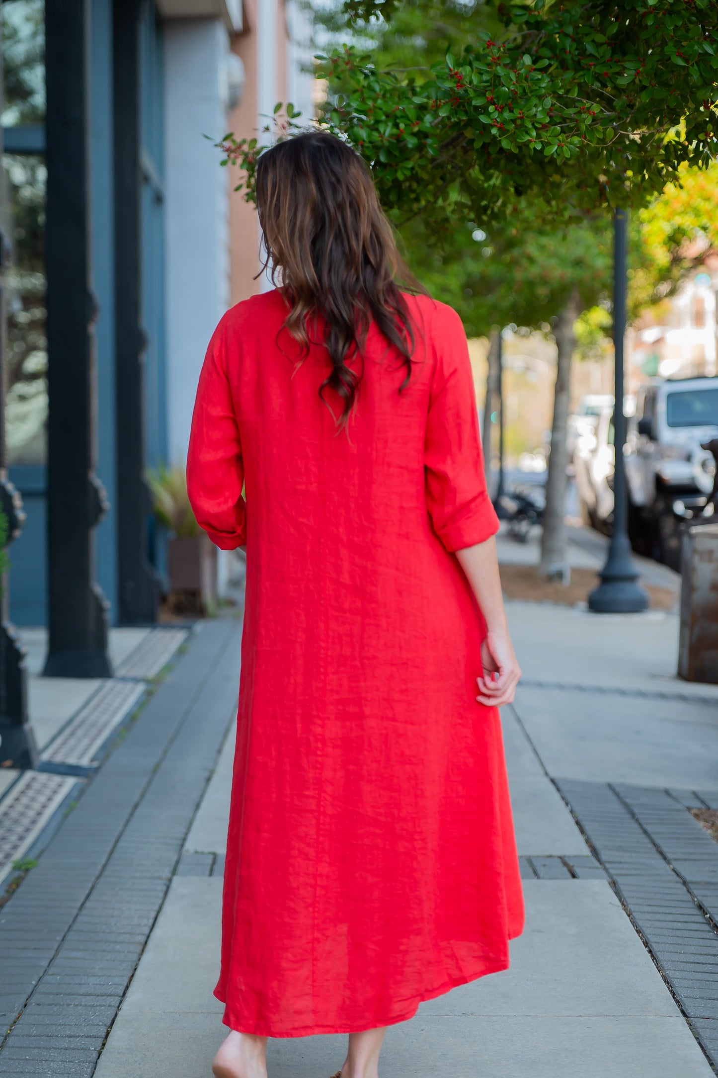 Astor Linen Long Sleeve Maxi Dress