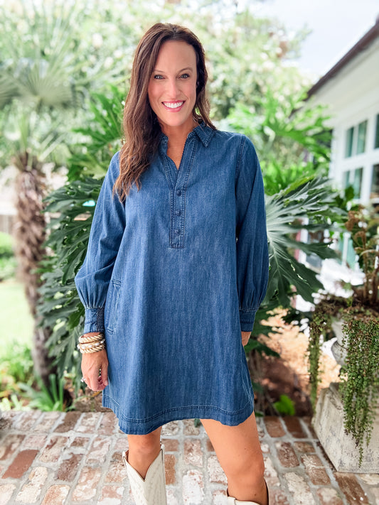 Mindy Denim Dress with Pockets