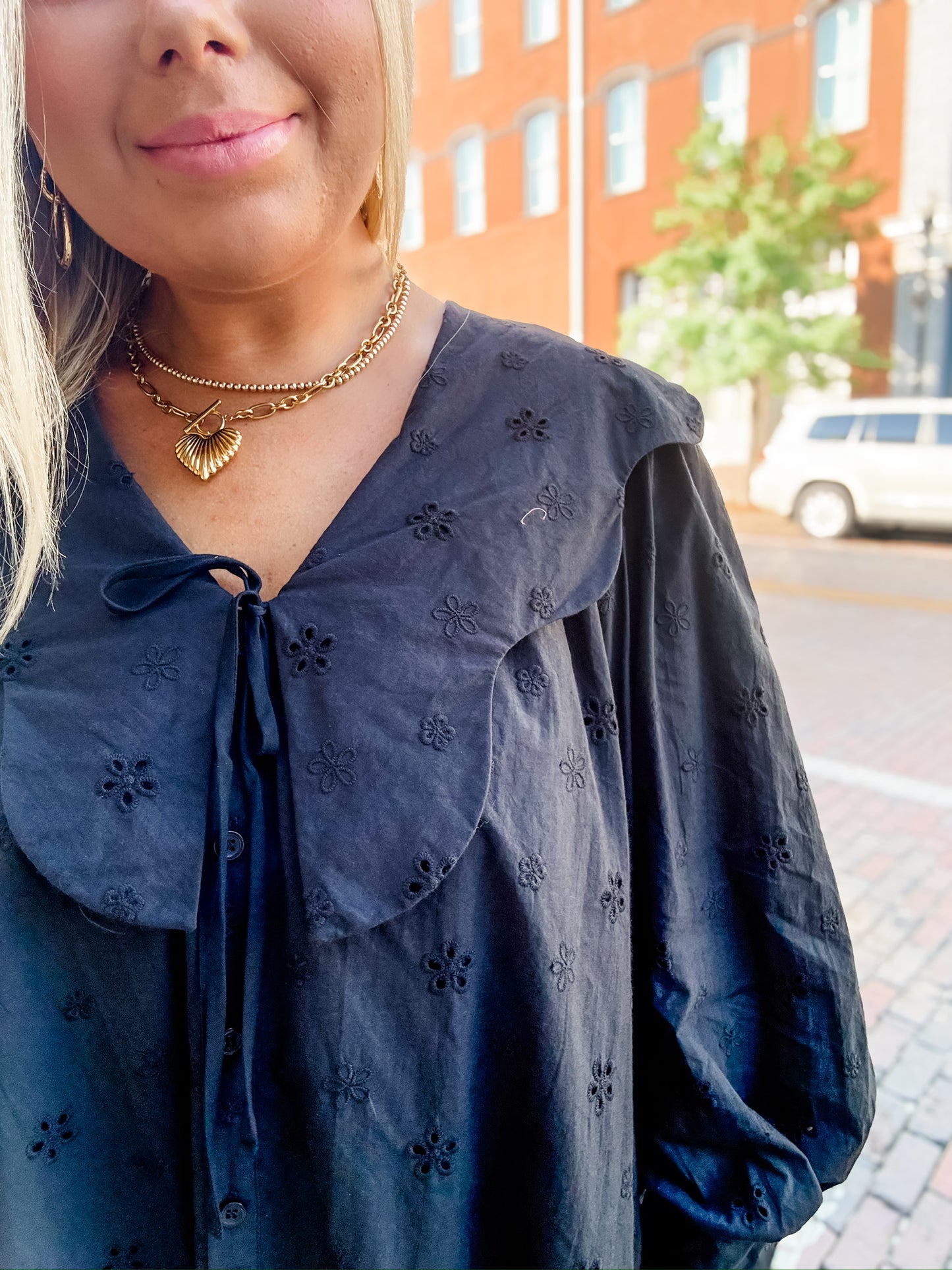 Colleen Collared Dress Black