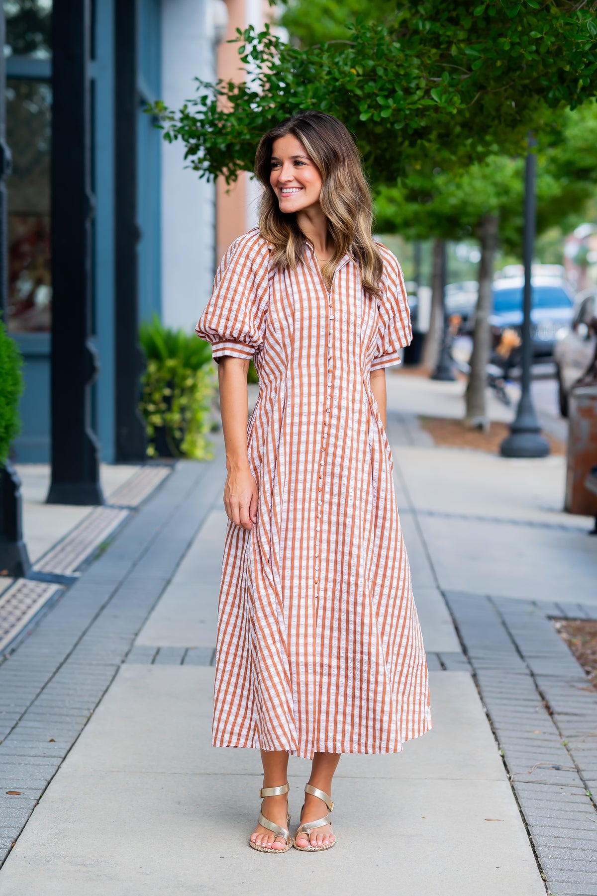 Eloise Gingham Dress