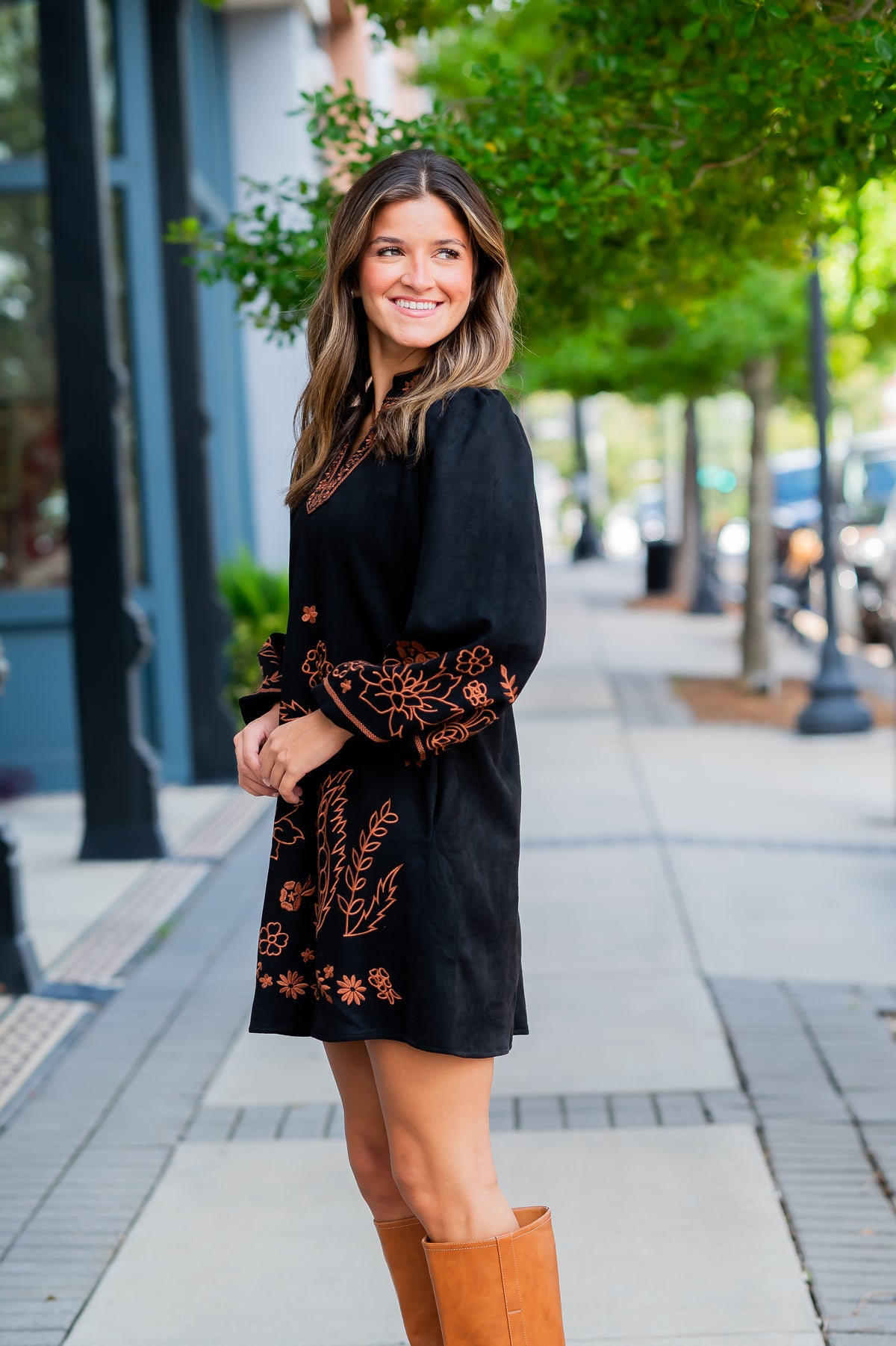 Darcy Embroidered Dress - Black