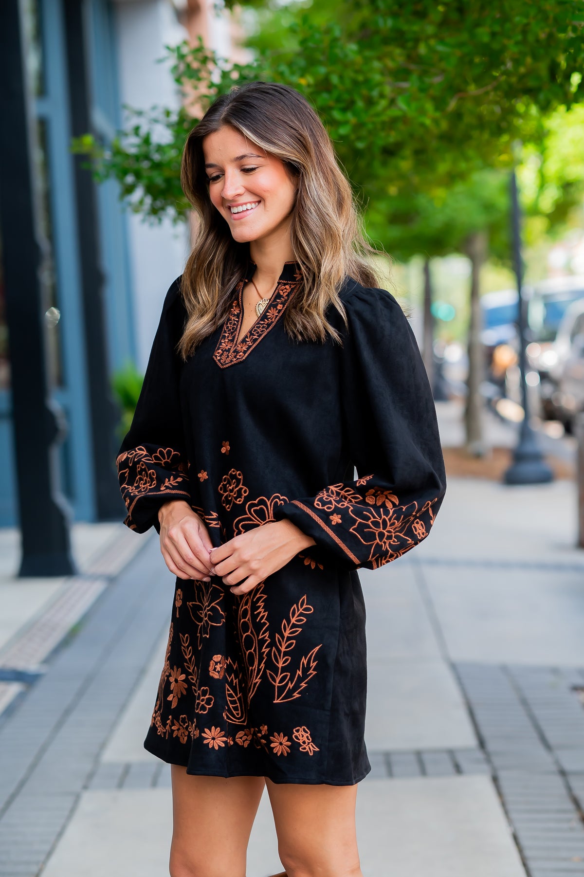 Darcy Embroidered Dress - Black