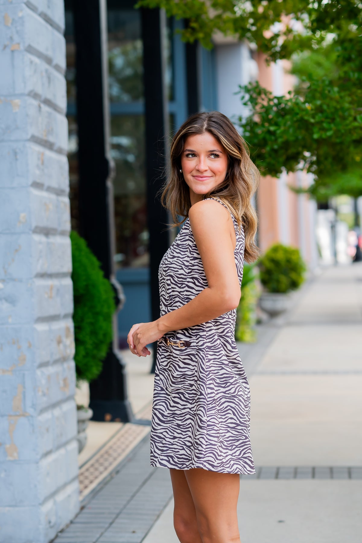 Brea Zebra Print Dress