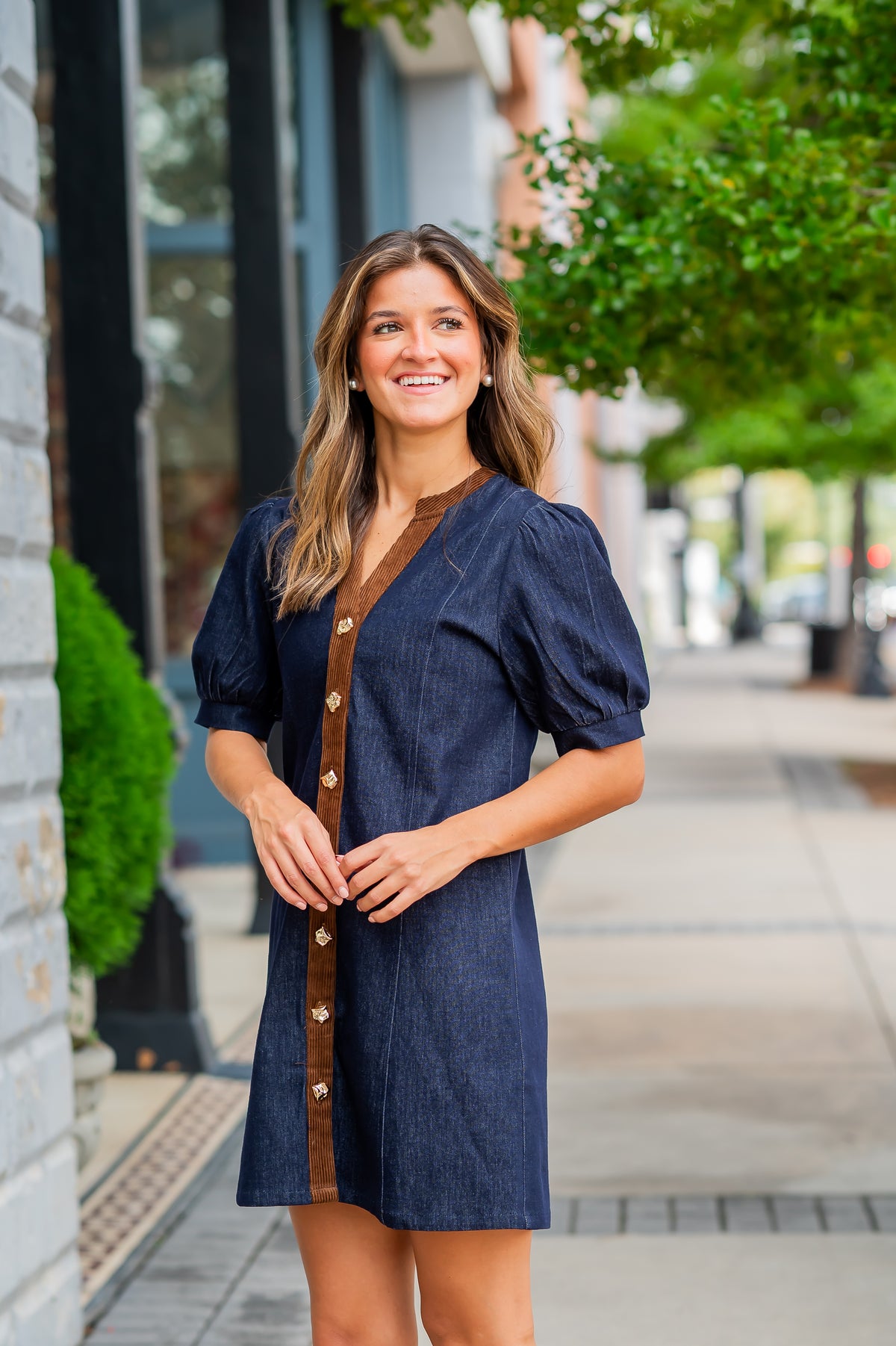 Laraline Denim Dress