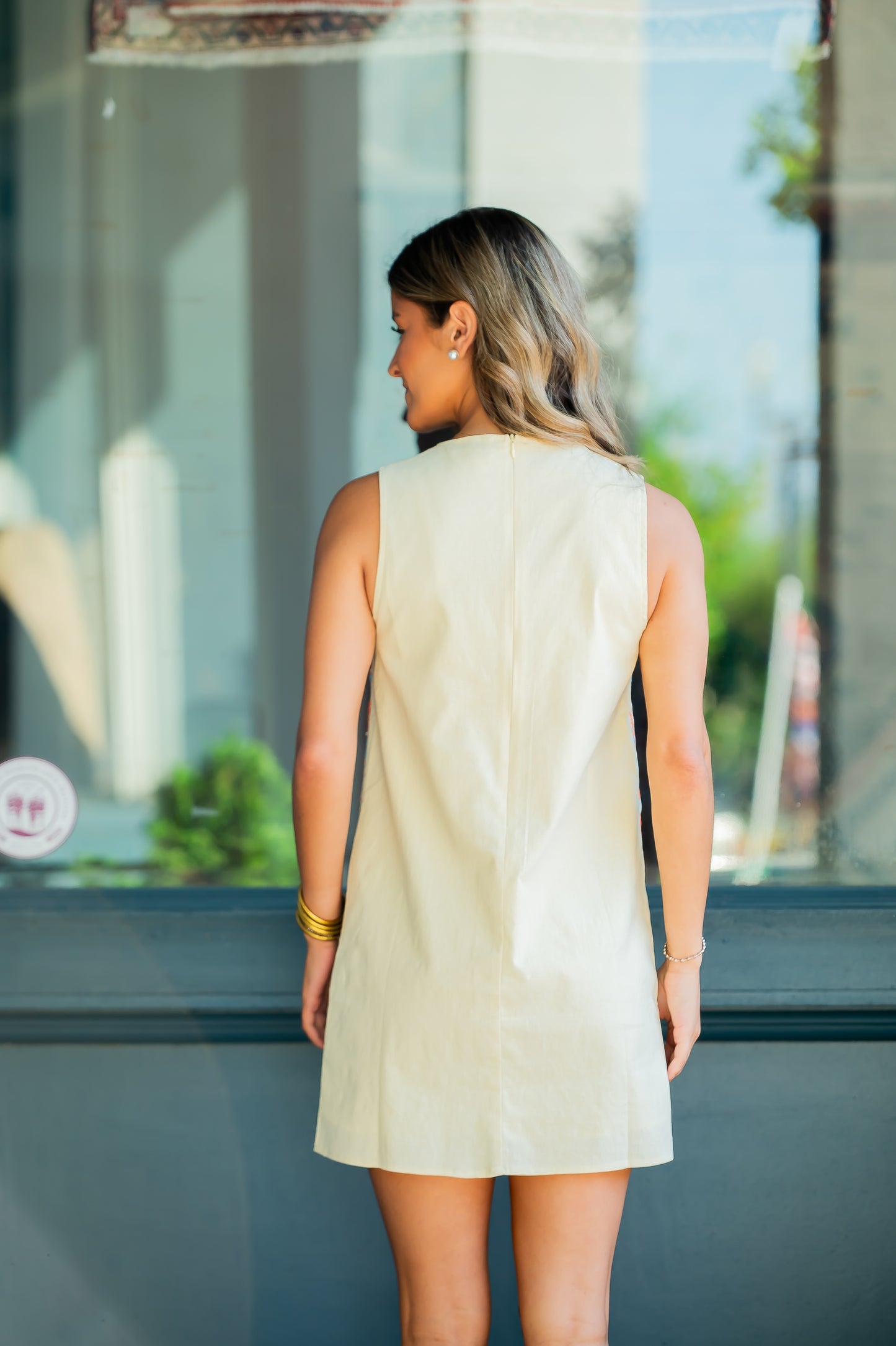 Celina Embroidered Dress