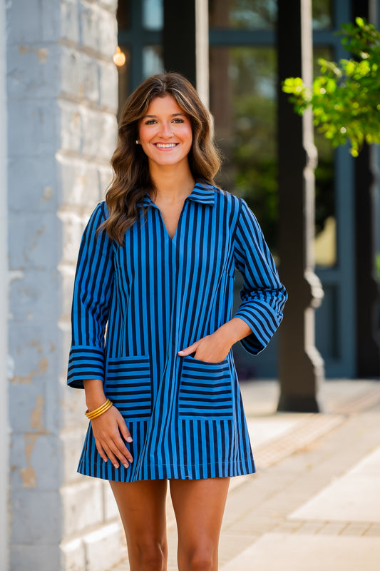Alizeh Striped Dress