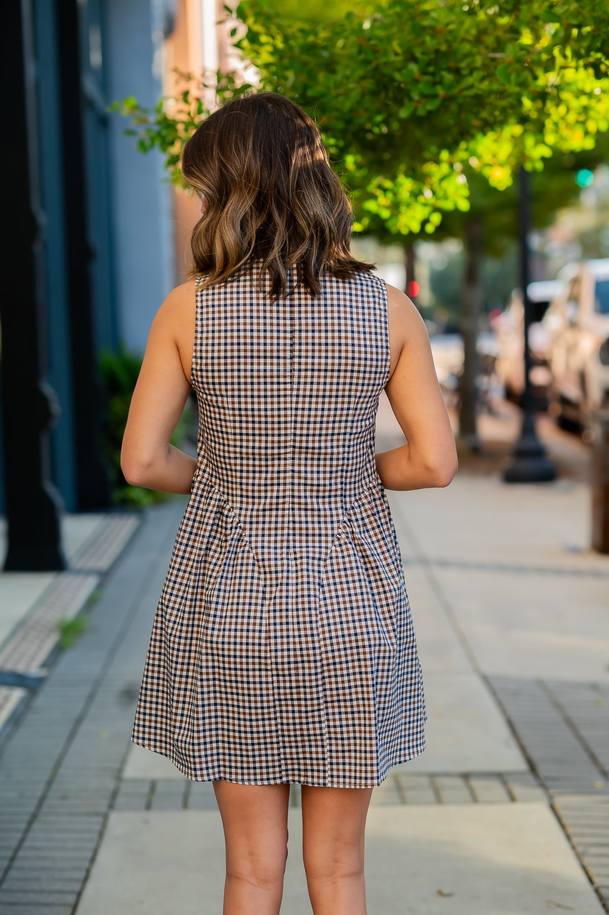 Sherrod Gingham Dress