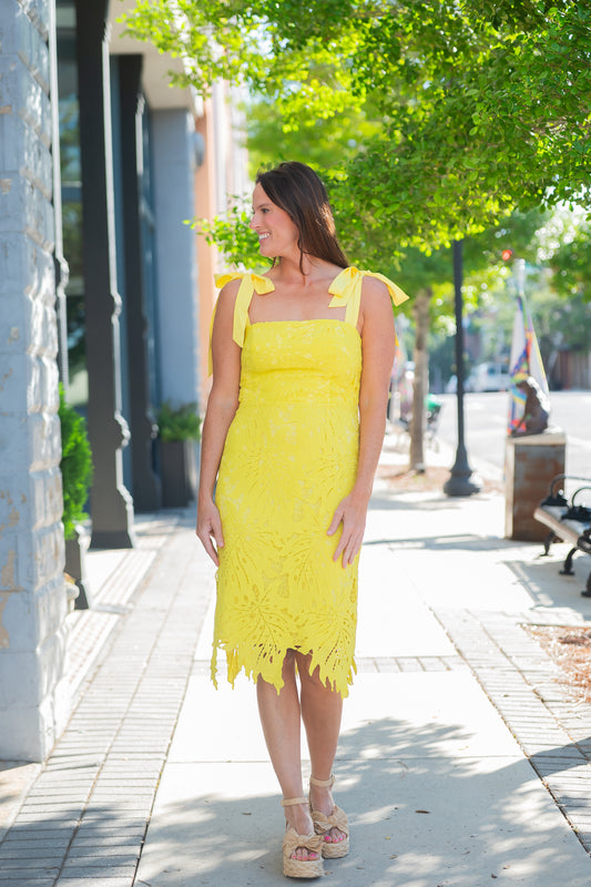 Blaire Lace Dress