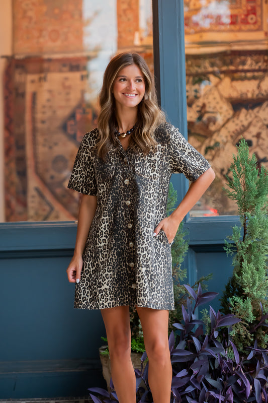 Shania Leopard Dress