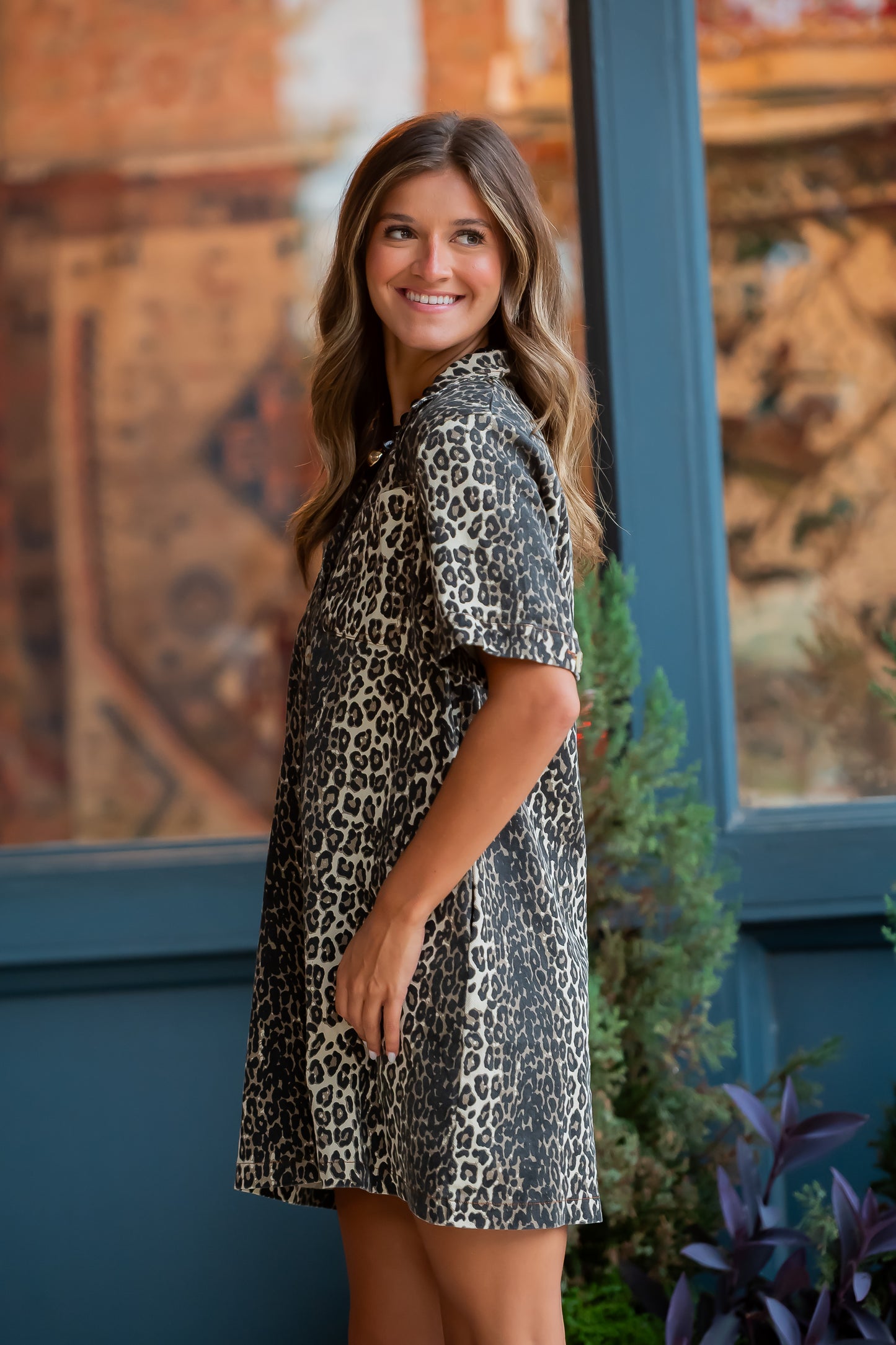 Shania Leopard Dress
