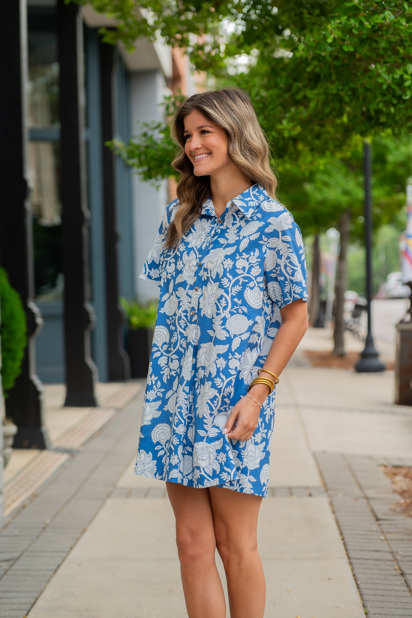 Remington Floral Print Button Down Dress