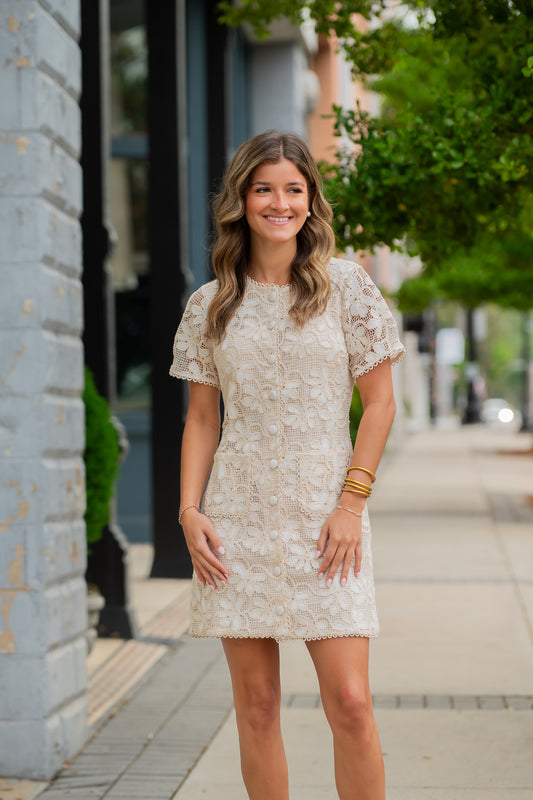 Amara Crochet Dress