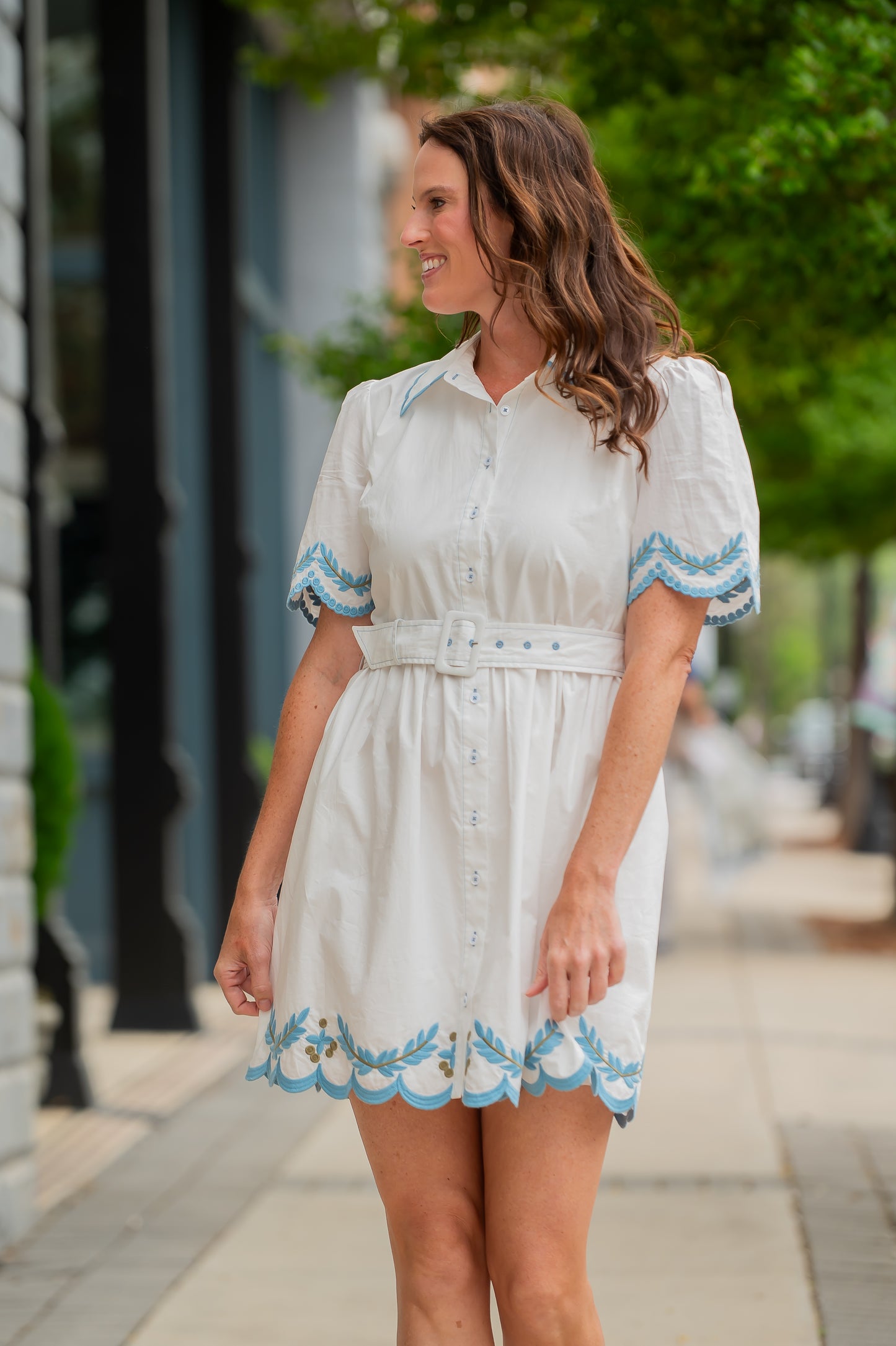 Hamilton Embroidered Detail Belted Dress
