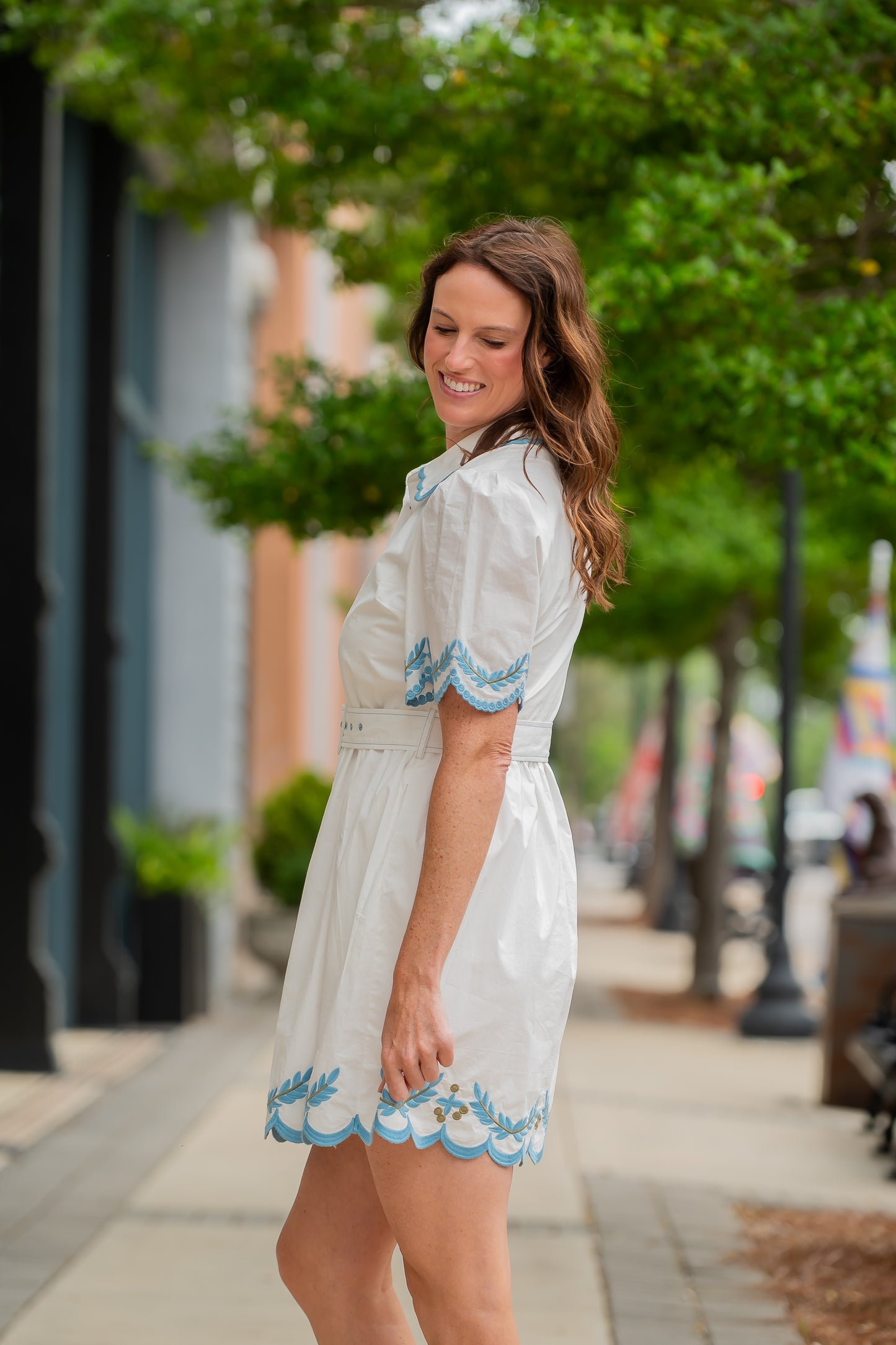 Hamilton Embroidered Detail Belted Dress
