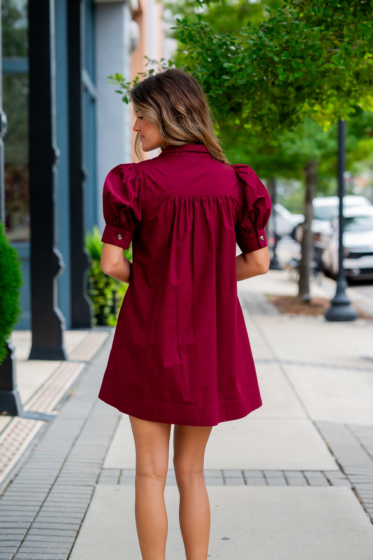 Rorabeth Burgundy Dress
