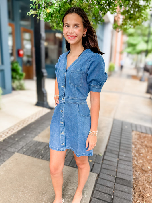 Maximilian Denim Dress
