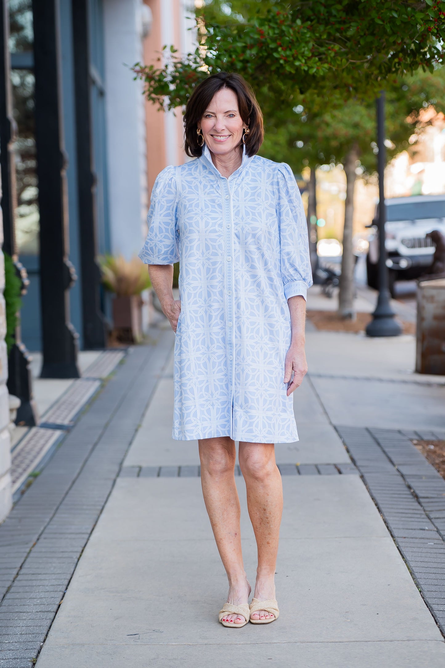 Blair Geometric Print Collard Dress