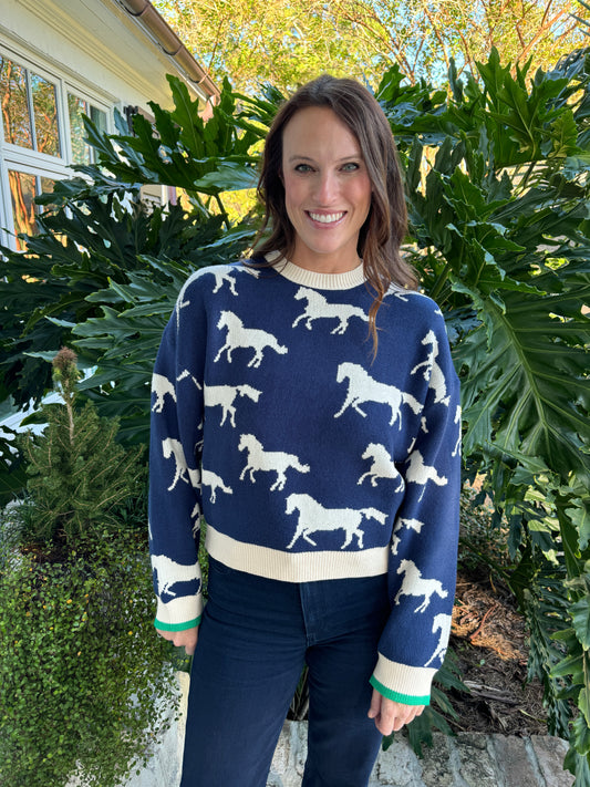 No Horsing Around Navy Sweater