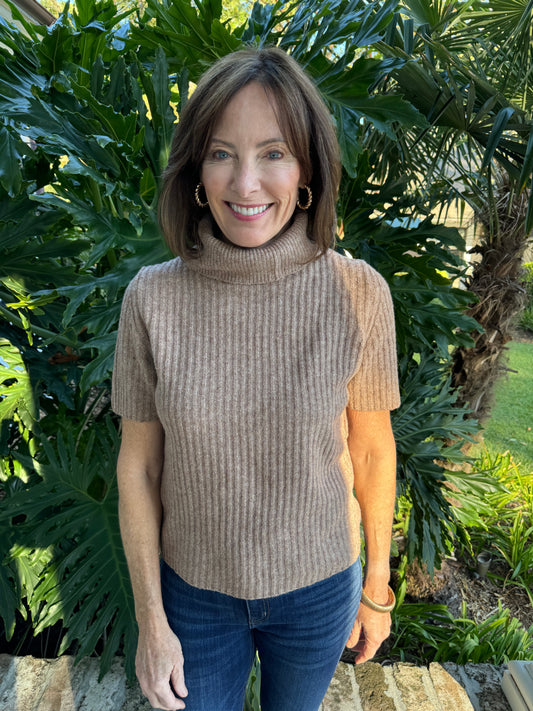 Easiest Yes Brown Turtleneck Sweater