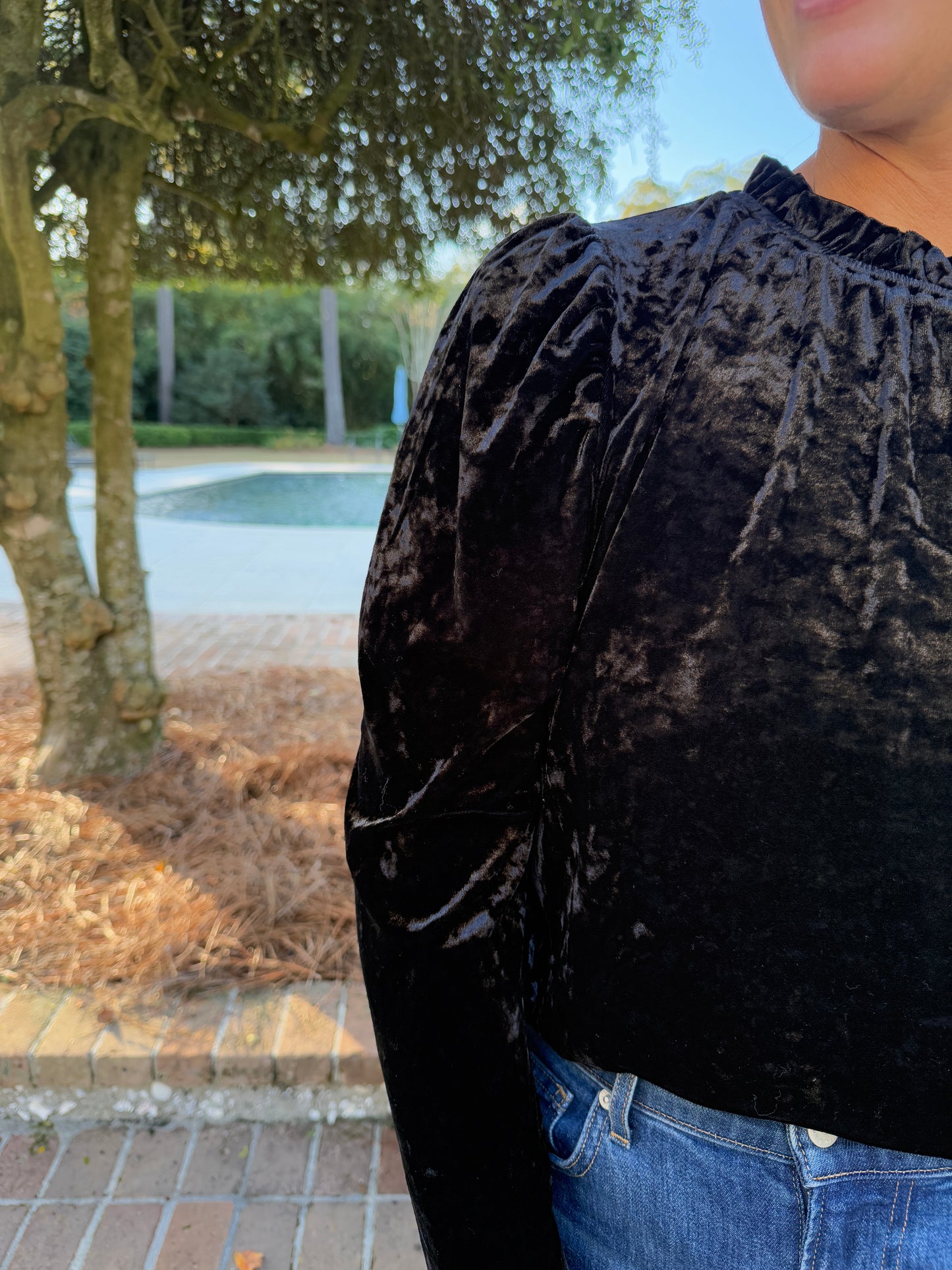 Night Sky Black Velvet Blouse