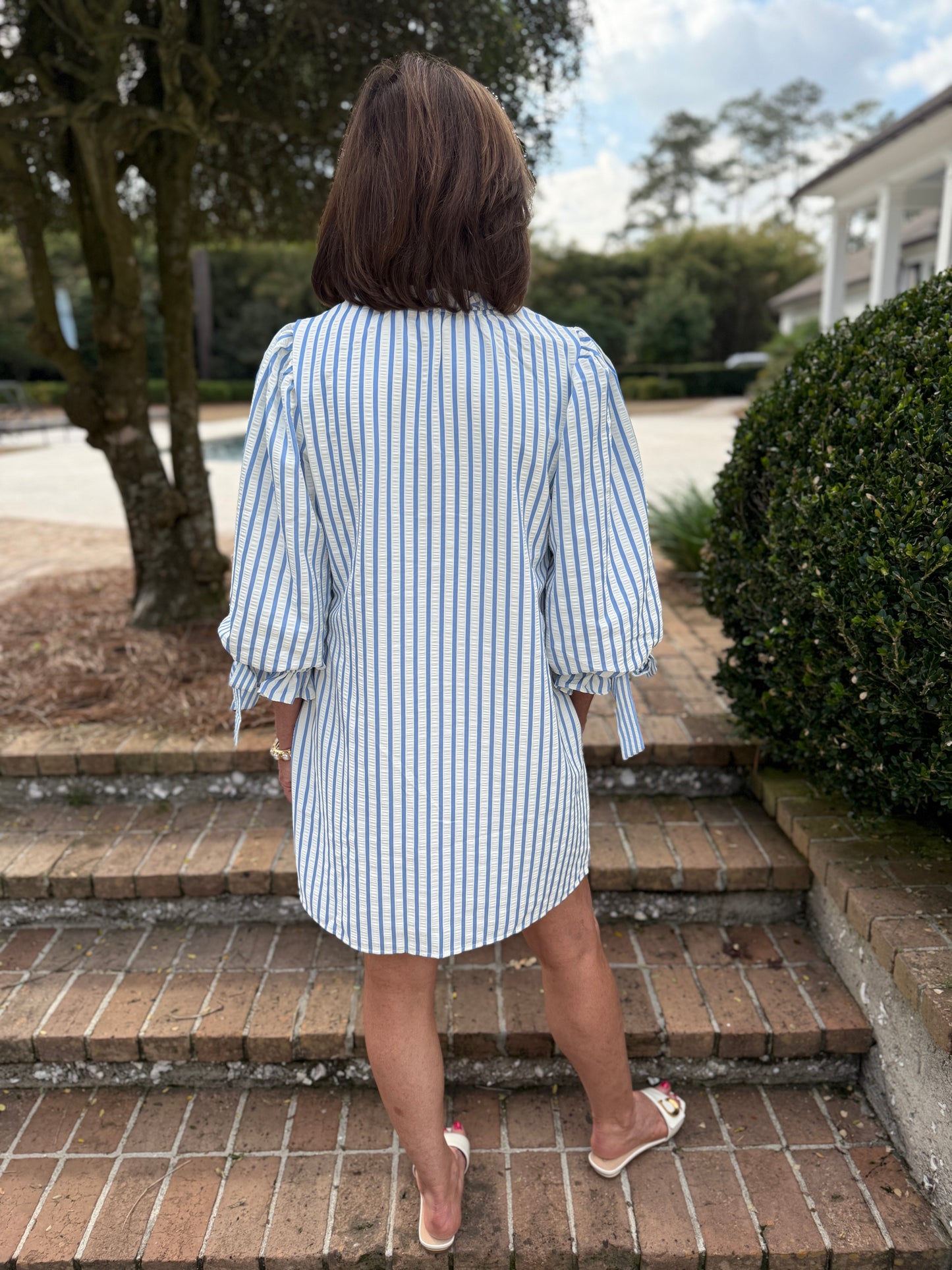 Erin Classic Striped Mini Dress