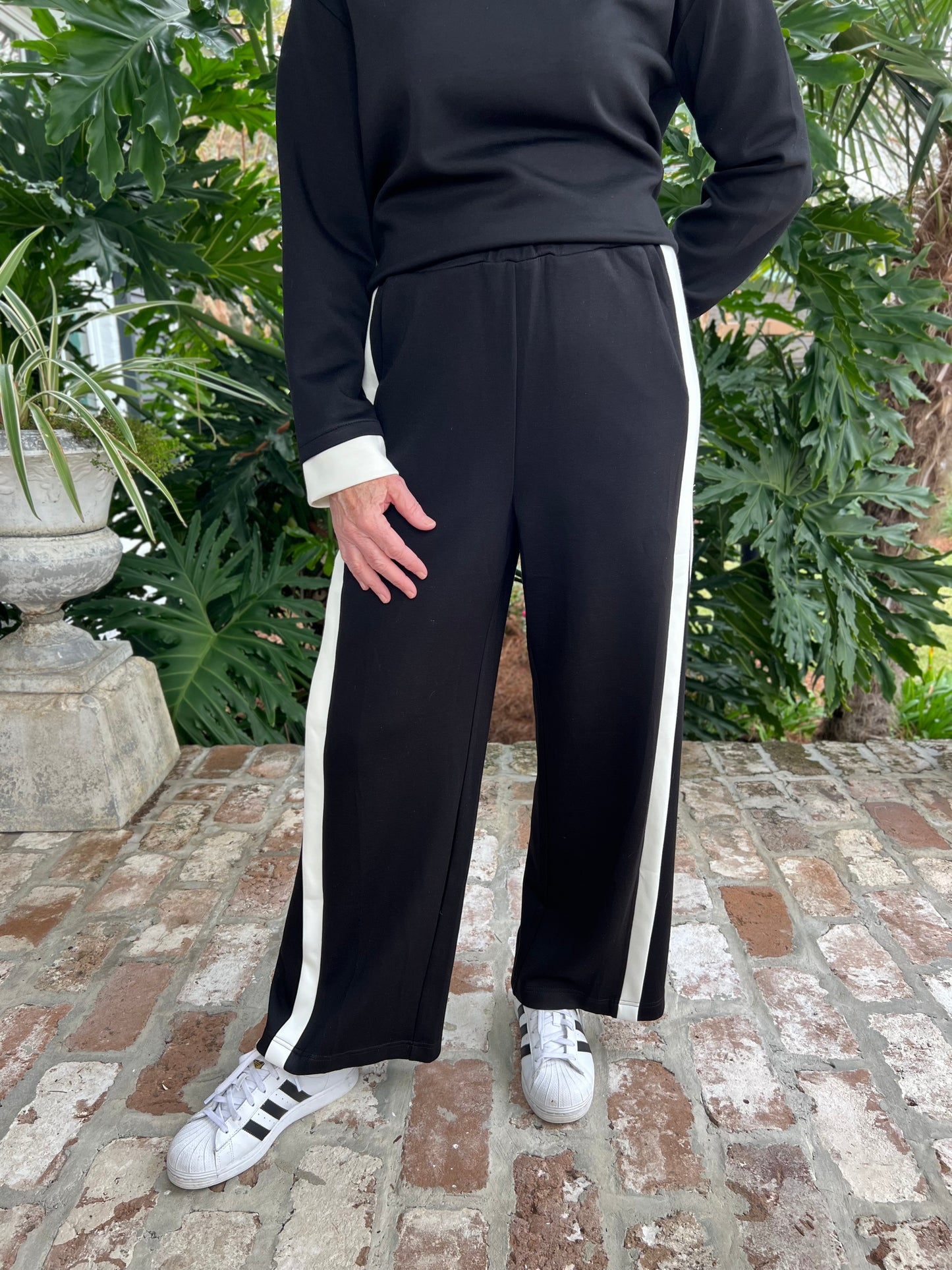 Classy Lady Black/Ivory  Pant