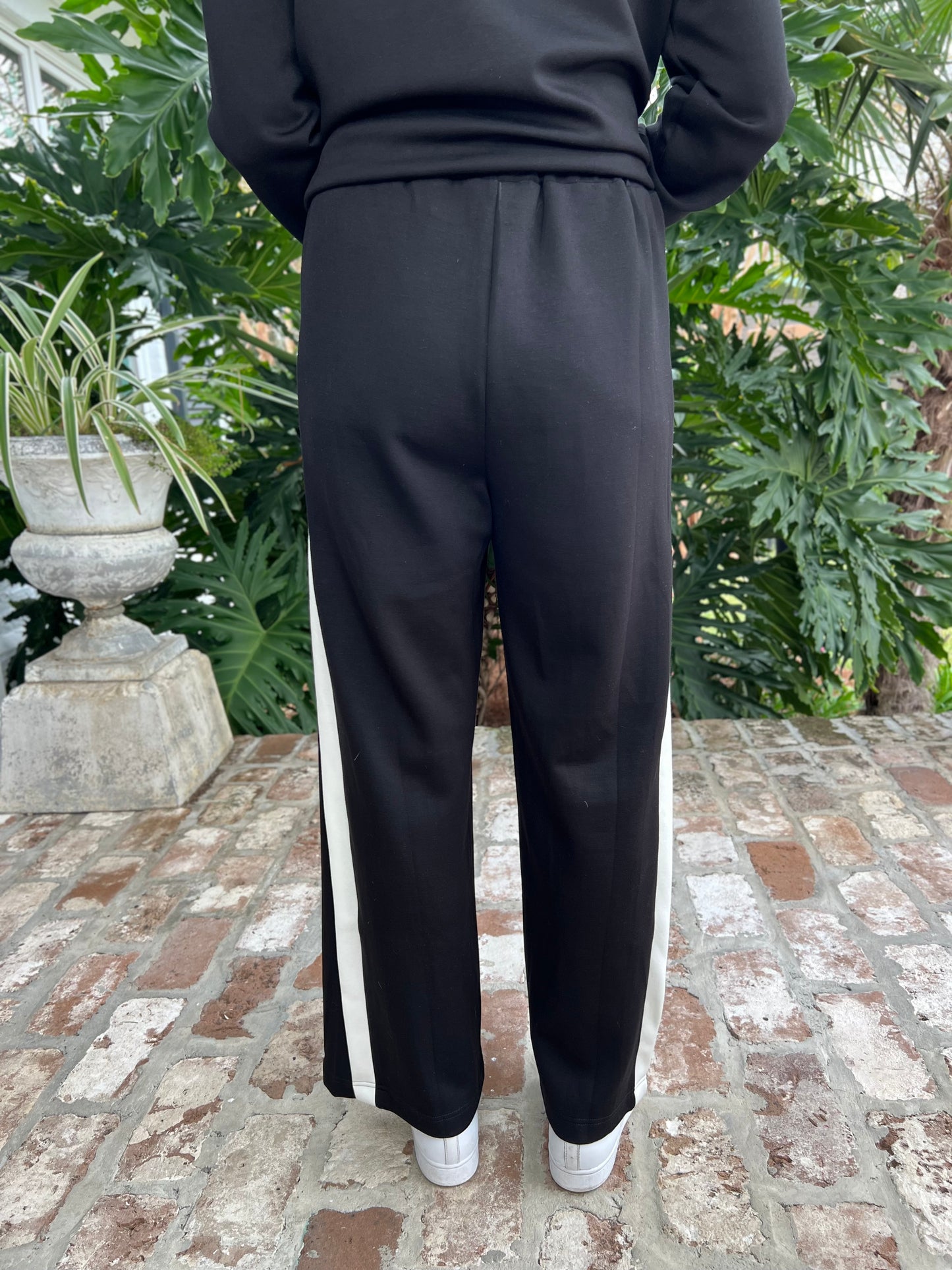 Classy Lady Black/Ivory  Pant