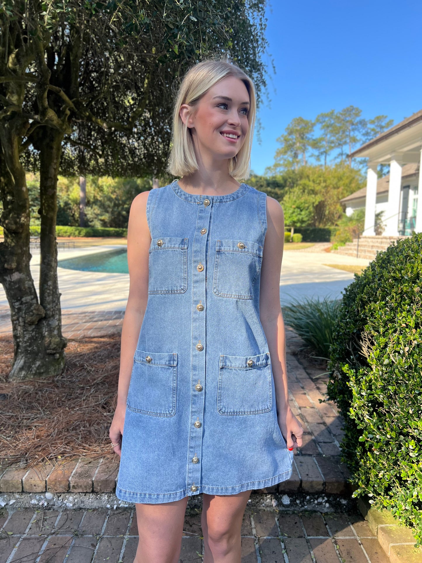 The Alex Denim Sleeveless Dress